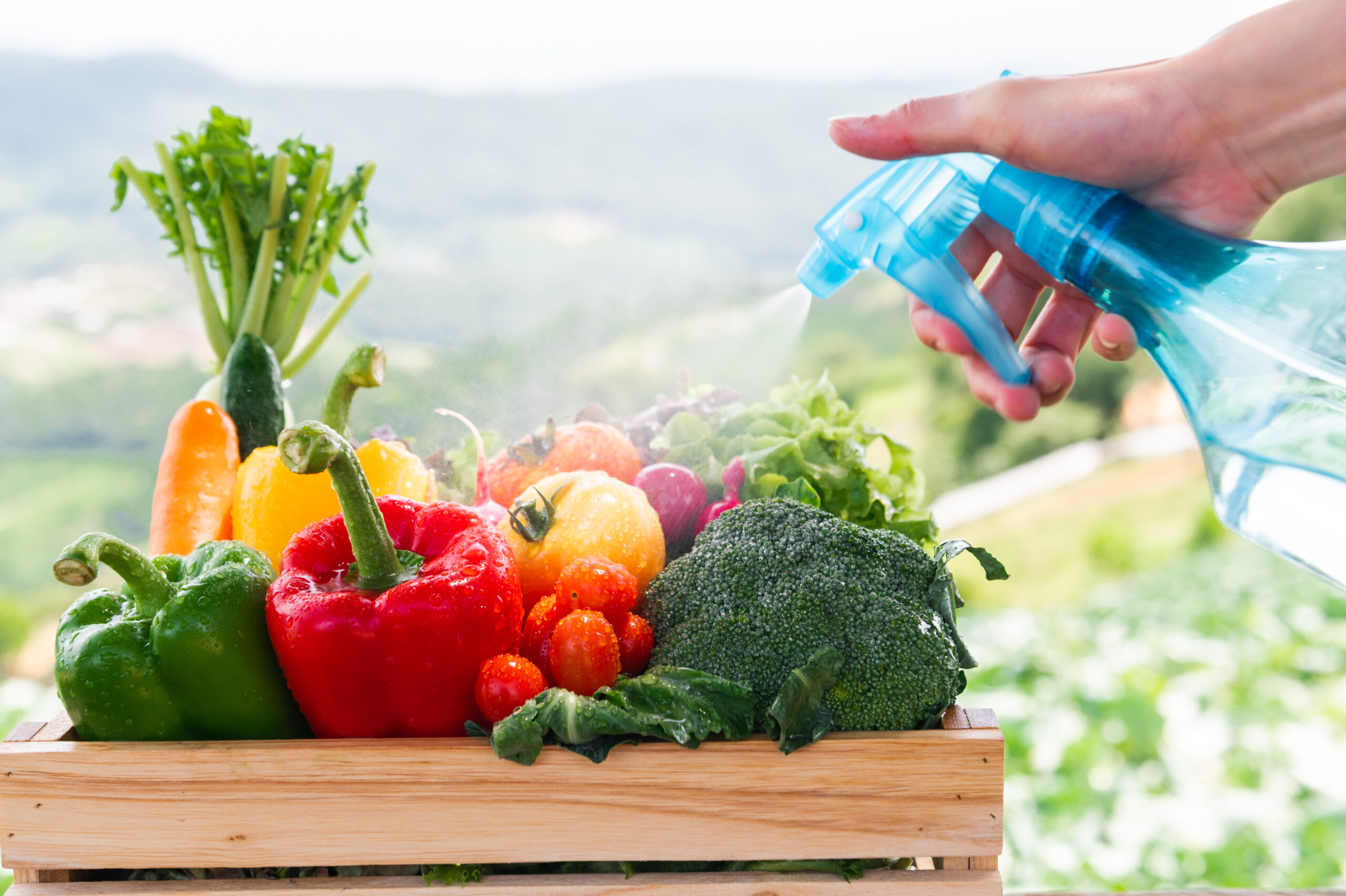 Could Eating Your Fruits and Veggies Really Give You Lung Cancer?